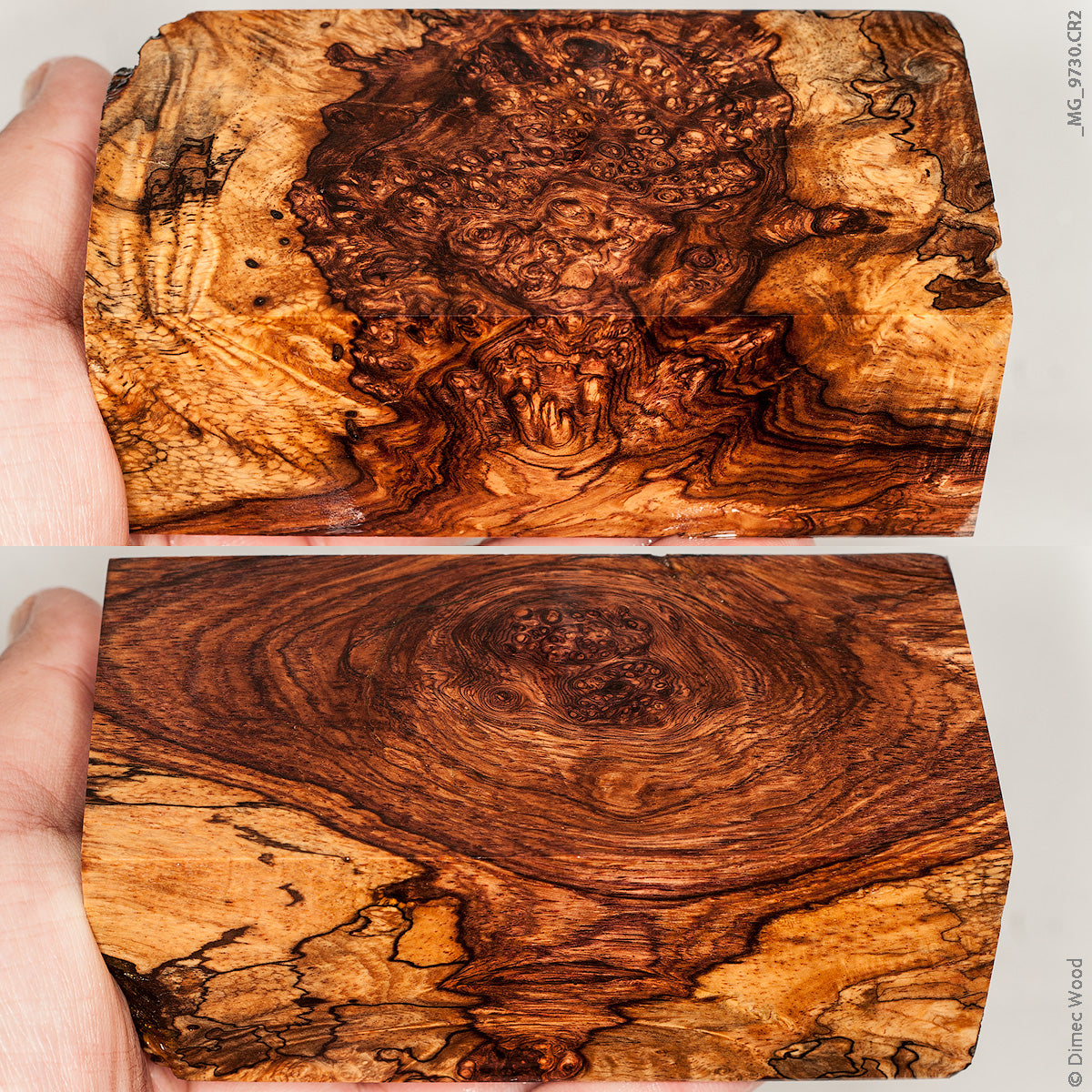 MG_9730_1383b59c-ca12-49a0-