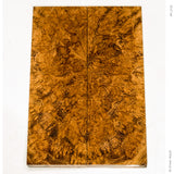 Stabilized black locust burl wood scales