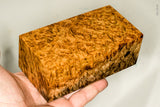Stabilized wood golden amboyna burl block