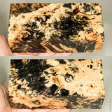 Large stabilized box elder burl wood block