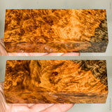 Stabilized wood golden amboyna burl block