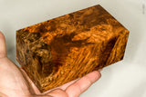 Stabilized wood golden amboyna burl block