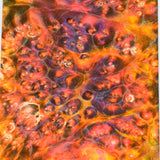 Stabilized box elder burl wood block
