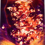 Stabilized box elder burl wood block