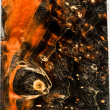 Stabilized box elder burl wood block