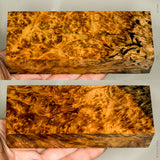 Stabilized wood golden amboyna burl block