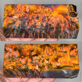 Stabilized box elder burl wood block