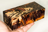Large stabilized box elder burl wood block