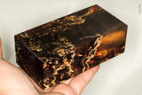 Large stabilized box elder burl wood block