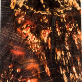 Large stabilized box elder burl wood block