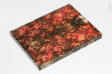 Stabilized box elder burl wood scales