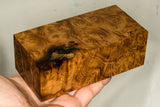 Large stabilized wood wild olive burl block