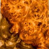 Stabilized wood golden amboyna burl block