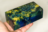 Large stabilized box elder burl wood block