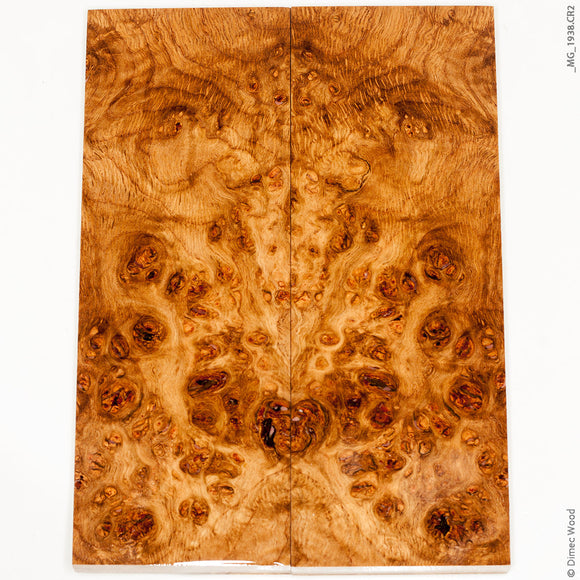 Stabilized natural wood oak burl panels