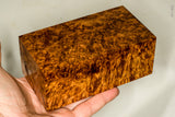 Stabilized wood golden amboyna burl block