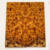 Stabilized golden amboyna burl wood scales