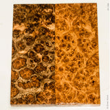 Stabilized golden amboyna burl wood scales