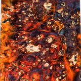 Stabilized box elder burl wood block