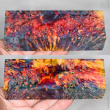Stabilized box elder burl wood block