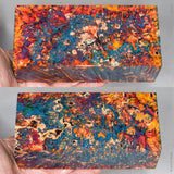 Large stabilized box elder burl wood block