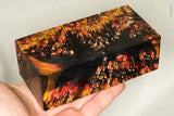 Large stabilized box elder burl wood block