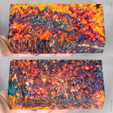 Large stabilized box elder burl wood block