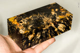 Large stabilized box elder burl wood block