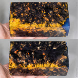 Large stabilized box elder burl wood block