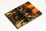 Stabilized box elder burl wood scales