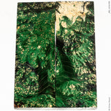 Stabilized wood box elder burl panels