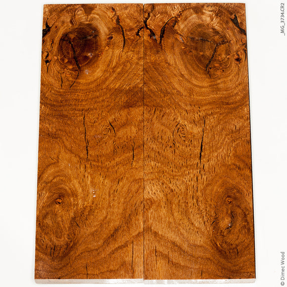 Stabilized oak burl wood panels