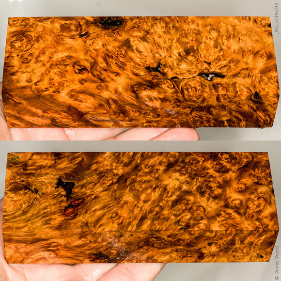 Stabilized wood golden amboyna burl block