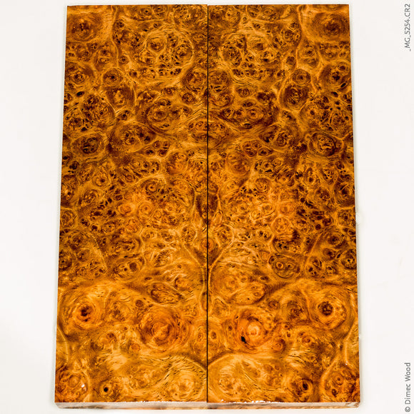 Stabilized golden amboyna burl wood panels