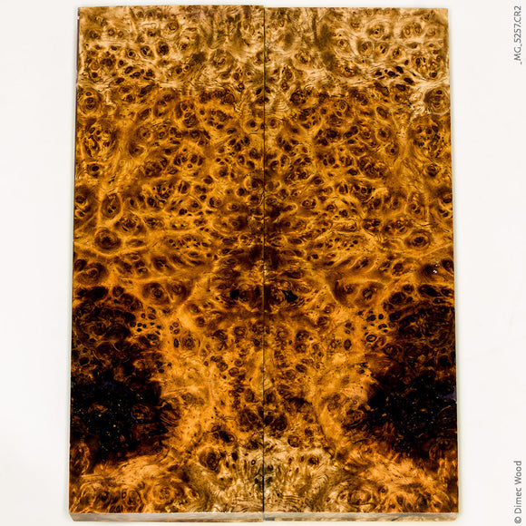 Stabilized golden amboyna burl wood panels