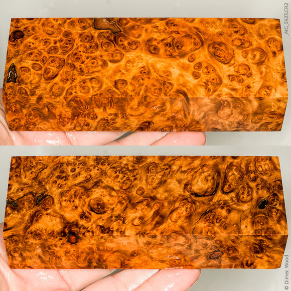 Stabilized wood golden amboyna burl block