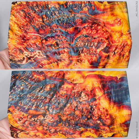 Stabilized wood box elder burl block