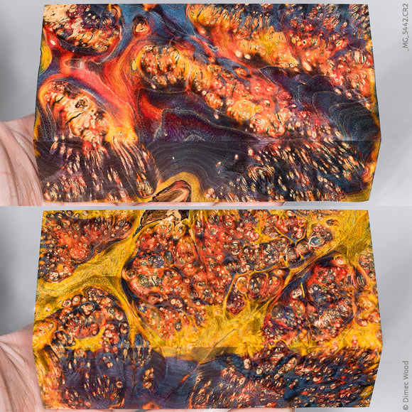 Stabilized wood box elder burl block