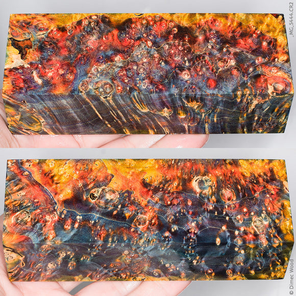 Stabilized wood box elder burl block