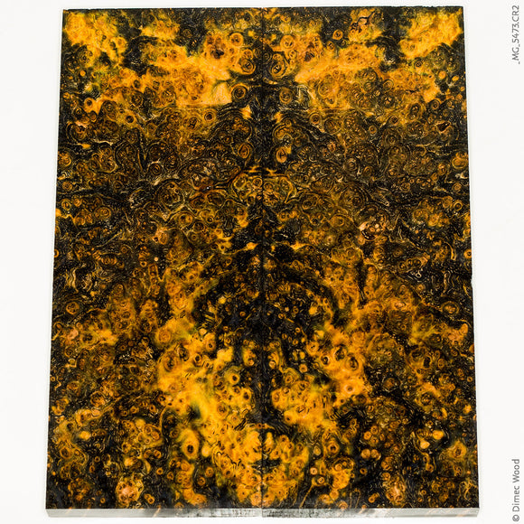 Stabilized black ash burl wood panels