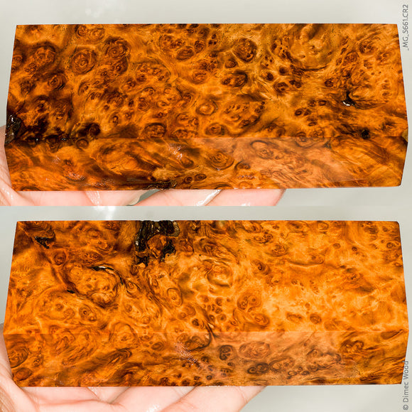Stabilized wood golden amboyna burl block