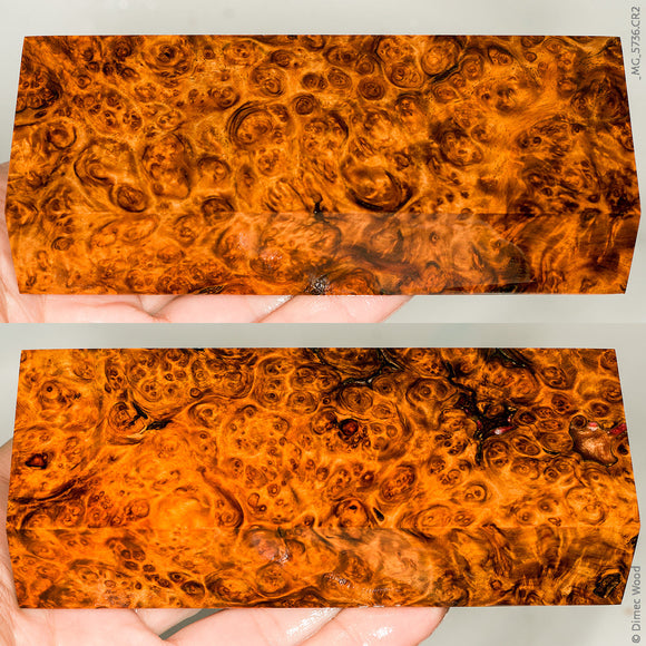 Stabilized wood golden amboyna burl block
