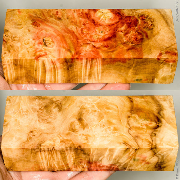 Stabilized natural box elder burl wood block