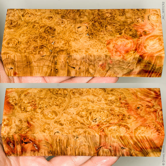 Stabilized natural box elder burl wood block