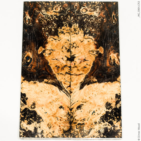 Stabilized box elder burl wood panels