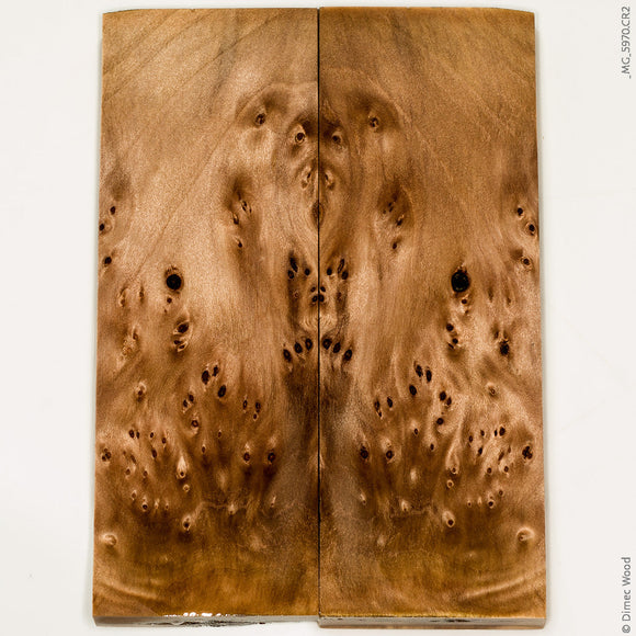 Stabilized natural wood willow burl panels
