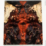 Stabilized box elder burl wood panels