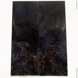 Stabilized curly cotton wood panels