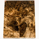 Stabilized natural wood maple burl panels