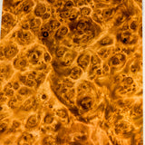 Stabilized wood golden amboyna burl block